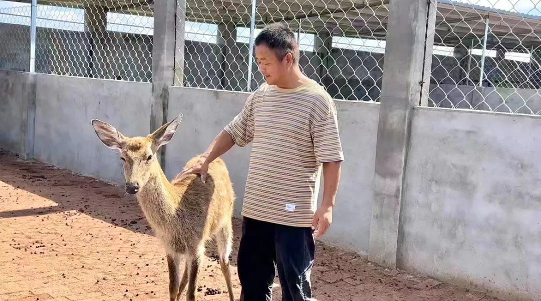 威尼斯游戏玩法
